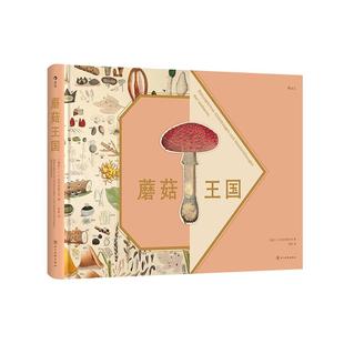 后浪正版现货 蘑菇王国 复古艺术馆系列 菌类科普图鉴 礼物书1000余种菌类全彩手绘 自然艺术科普书籍