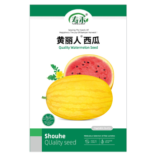 黄丽人西瓜种子黄皮红肉早熟西瓜种籽南方水果春季四季蔬菜种籽孑