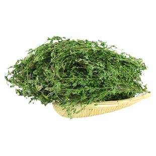 25年紫花苜蓿草毛重1kg兔粮苜蓿龙猫粮草荷兰猪豚鼠干草饲料