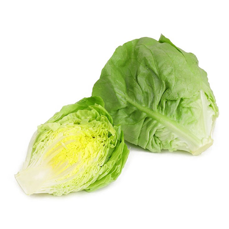 西餐食材轻食沙拉菜新鲜奶油生菜