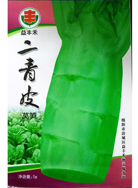 二青皮三青皮莴笋莴苣种子5克