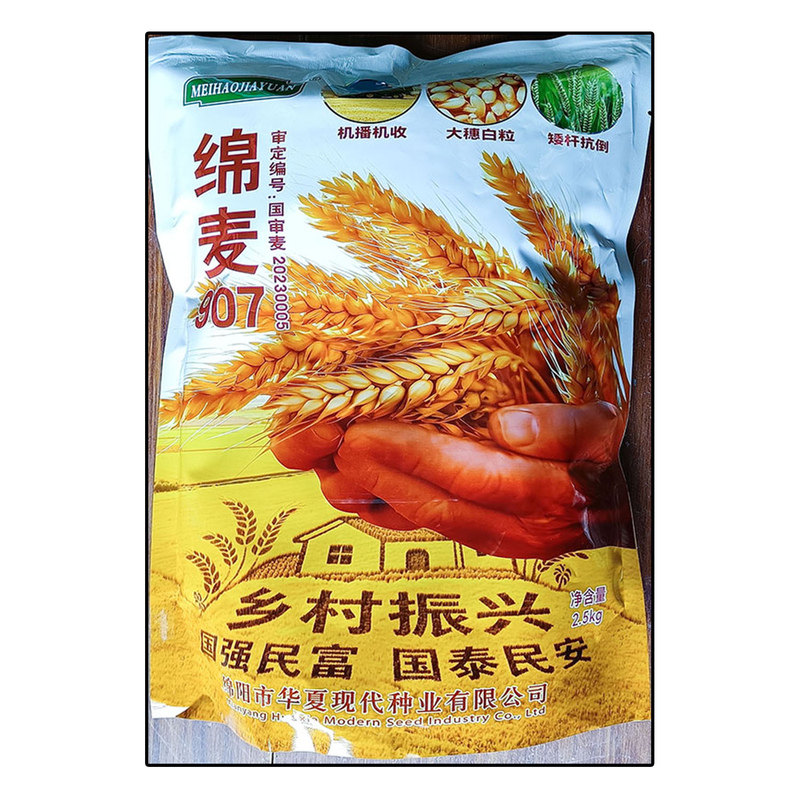 各种小麦子大全原装种子白色颗粒