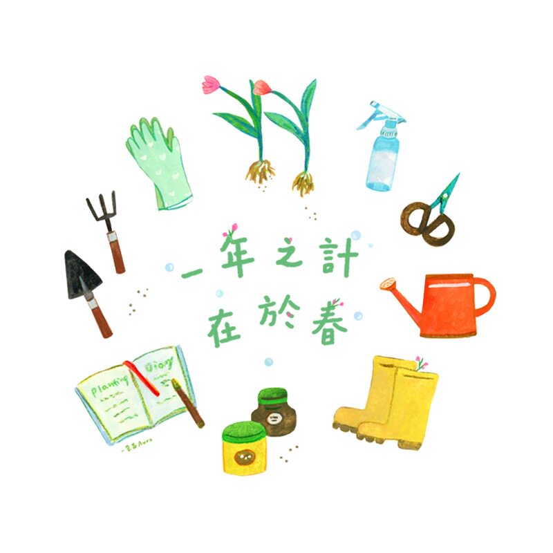 一朵苗原创 2026春窗贴春天窗花新年装饰新居静电贴玻璃橱窗装饰