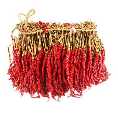 2025贵州特产大方皱椒农家干辣椒种子线椒鸡爪辣红海椒500g包邮