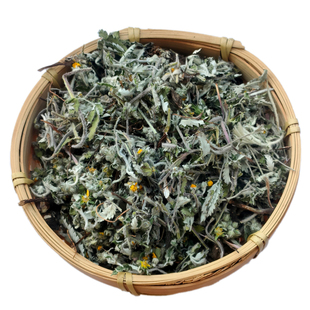 2025年新品野生翻白草干货整棵带根新鲜切段番白草中草药材茶