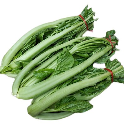 四川青菜杆新鲜宜宾青菜杆杆泡菜