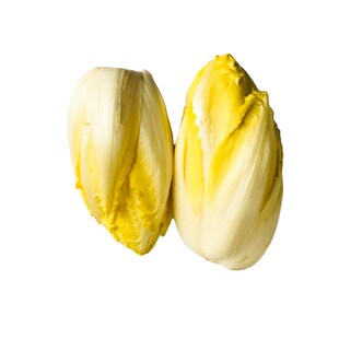 寿光蔬菜种子软化菊苣红黄渐变 玉兰菜野菜种子特菜四季籽春季