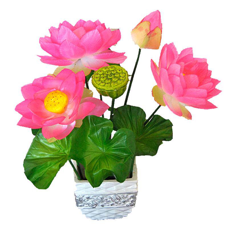 带底座大把荷花睡莲供佛祭祖花束