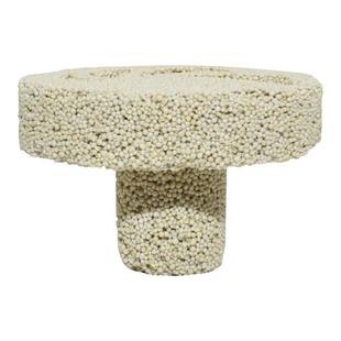 迈光珊瑚基座SPS珊瑚断肢断枝纳米底座海水鱼缸纽扣繁殖多孔基石