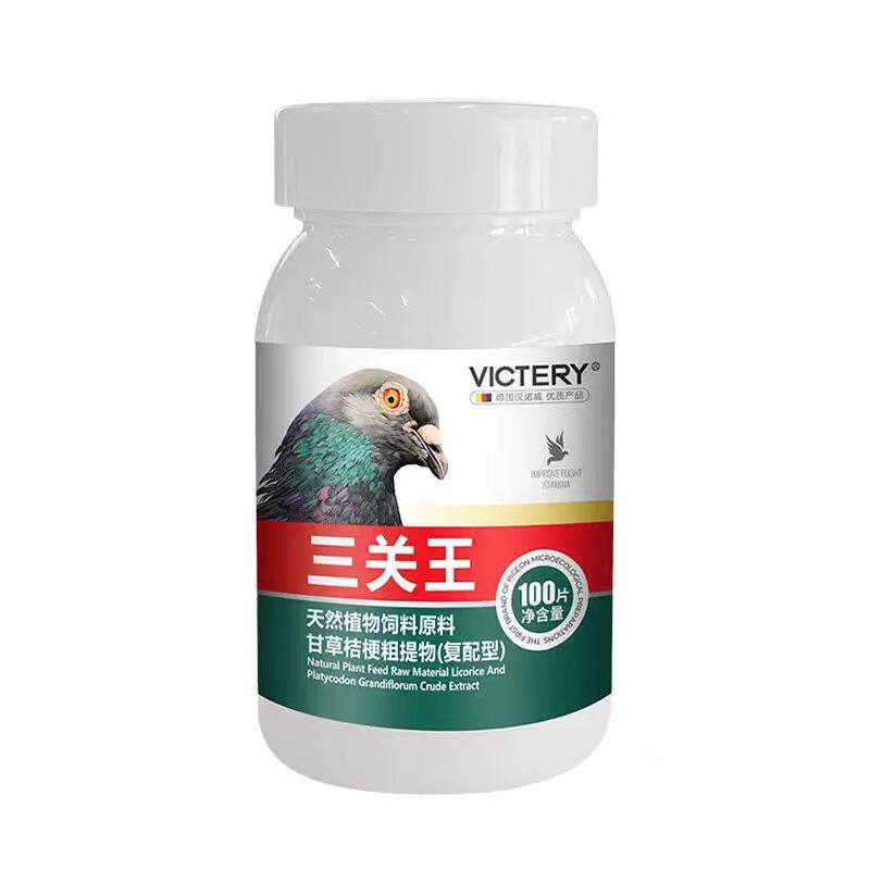 汉诺威关赛王赛鸽毛滴呼吸道公棚