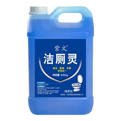 除臭紫文去污洁厕厕所马桶清洁剂