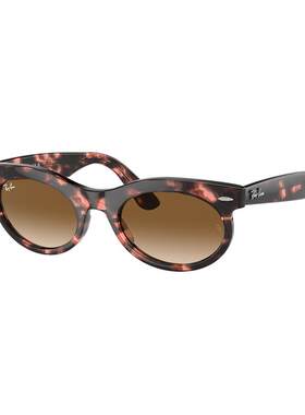 RayBan雷朋太阳眼镜幻变系列光致变色墨镜眼镜潮酷0RB2242F可定制