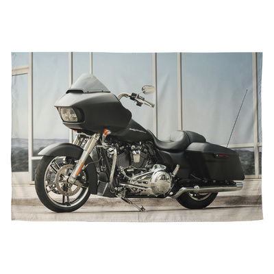 海报哈雷公路滑翔RoadGlide