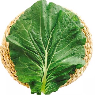 新鲜大白菜叶 东北农家蔬菜包饭包白菜叶子蘸酱菜现摘现发