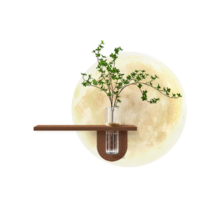 DIY水培绿植装饰画奶油风入户玄关月球壁灯挂画高级感餐厅壁画