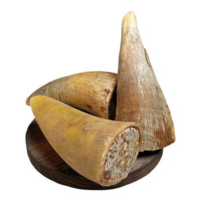 牛角髓狗狗磨牙零食专用风干牛角磨牙棒宠物咬胶磨牙耐啃耐咬