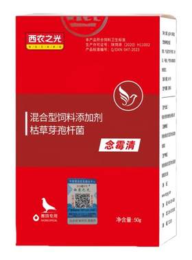 西农之光念梅青信鸽鹦鹉用清念珠