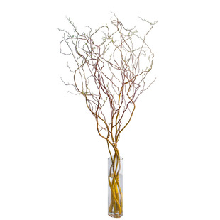 水培植物龙柳鲜切枝富贵竹客厅绿植花卉室内盆栽干枝雪柳枯树逢春