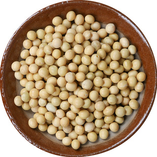 黄豆500g农家自种黄豆大黄豆小笨土打豆浆干黄豆种子非黄豆粉大豆