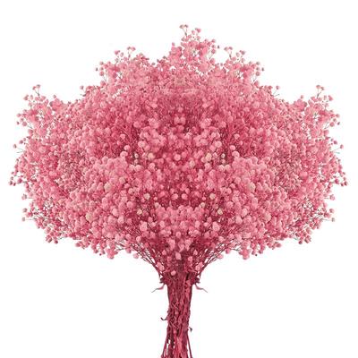 满天星天然干花花束送礼好物