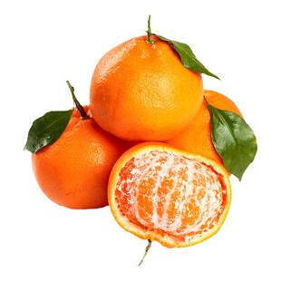 2026四川特级春见耙耙柑粑粑柑橘子甜当新鲜水果丑柑桔9斤包邮A