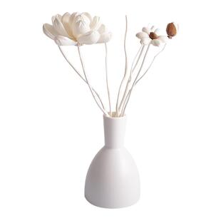 无火香薰精油扩香工具龙柳自然弯藤粗藤白陶瓷空瓶大朵藤条睡莲花