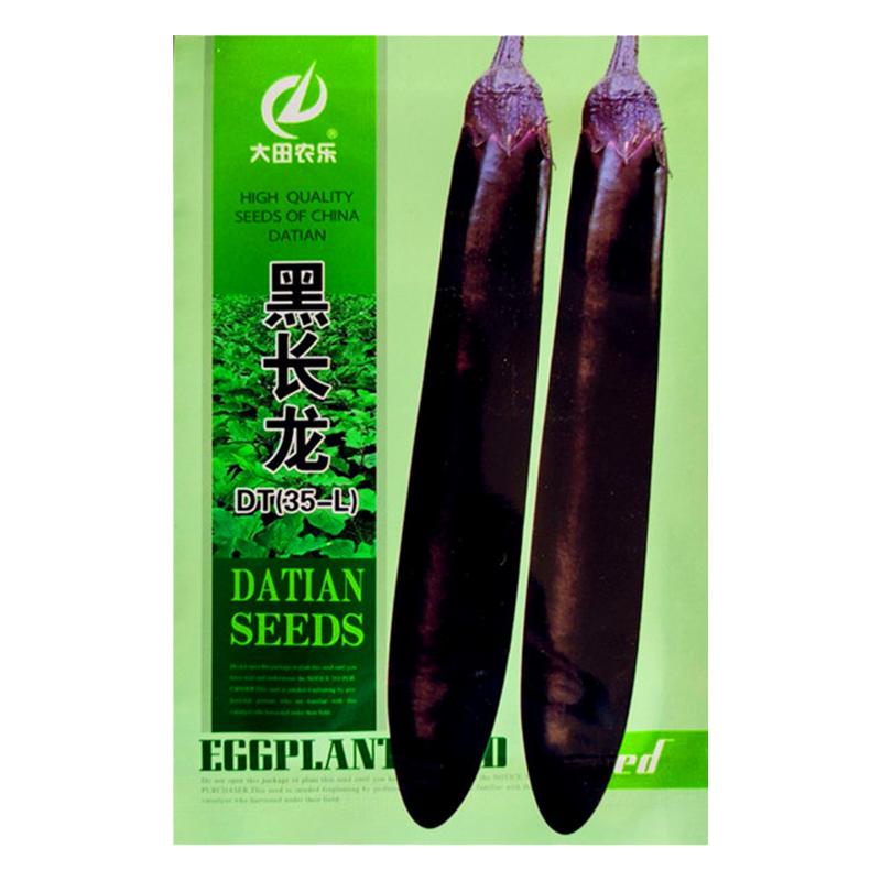 茄子种籽大田农乐黑长茄长茄种子