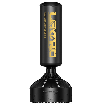 成人儿童拳击沙袋，送武功秘笈