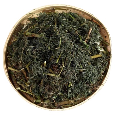 野生四川苦蒿农民自晒药浴