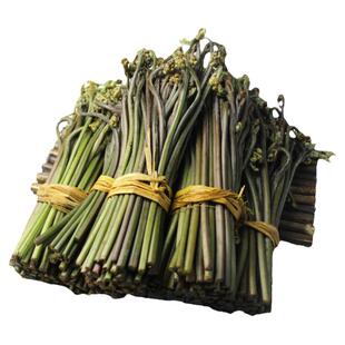 现采贵州蕨菜新鲜野生蔬菜下饭菜当季天然野地菜山厥菜5斤青厥苔