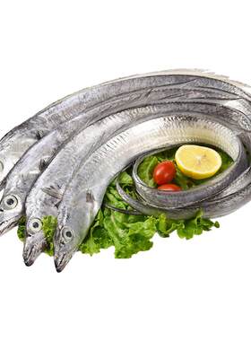 亚洲渔港海钓小眼带鱼冷冻2.5kg