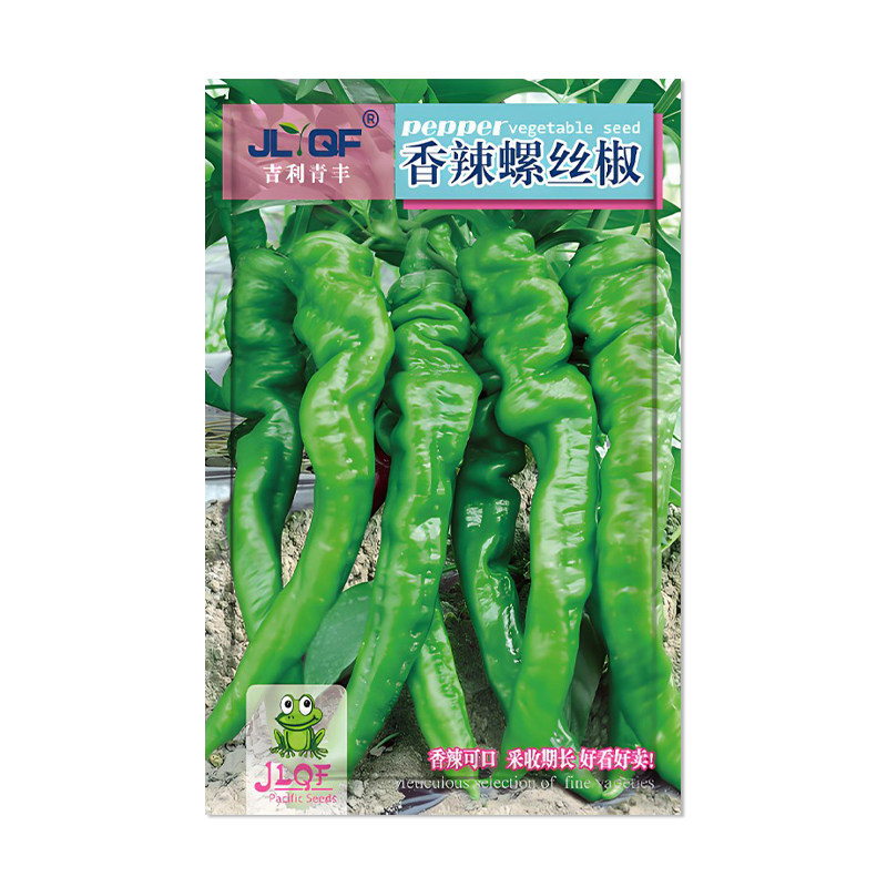 吉利青丰香辣螺丝椒种子