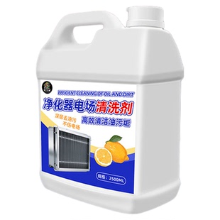 净化器油烟清洗剂商用餐饮烧烤车炉无烟电场滤芯网除油垢洗涤剂#