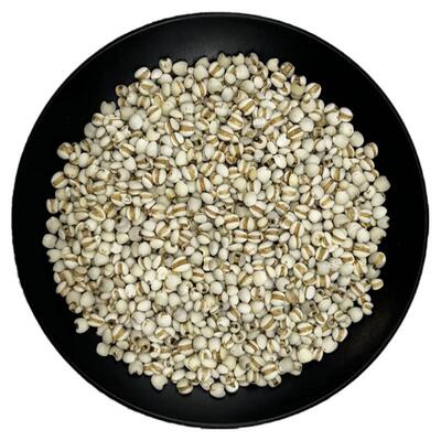 认准贵州小薏米道地原产中药材