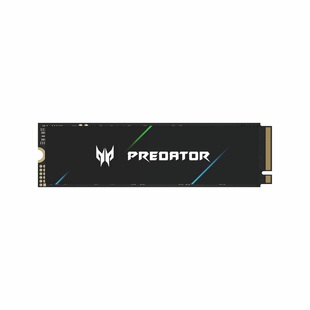【自营】宏碁掠夺者 SSD固态硬盘M.2接口NVMe PCIe5.0 GM9000 2TB