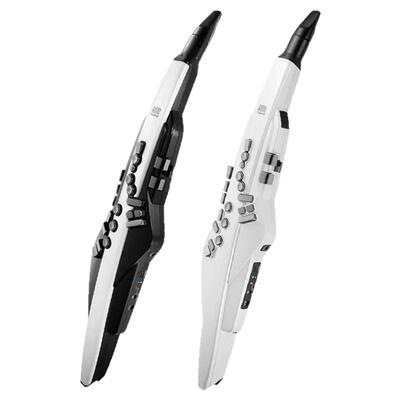 罗兰电吹管AE20/30中老年初学者