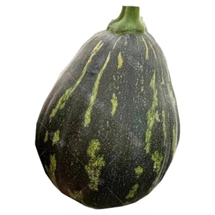 香芋南瓜种子种籽苗孑农家蔬菜高产四季板栗香甜香芋味皮薄南瓜春