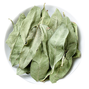 野生罗布麻500g250g100克中药材正品罗布麻叶新疆新鲜农产品无硫