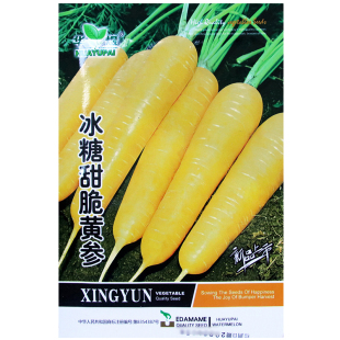 冰糖甜脆黄参胡萝卜种子农田菜园肉质细嫩味甜黄胡萝卜蔬菜不开花