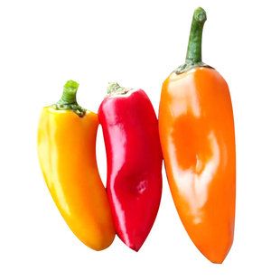 水果椒种籽彩色辣椒种子苗秧阳台四季盆栽不辣蔬菜孑籽种秧苗大全