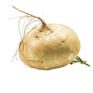 广西现挖新鲜凉薯当季果蔬即食白地瓜脆甜多汁地萝卜白心番薯葛薯