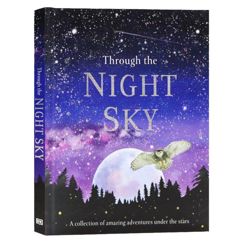 DK穿过夜空英文原版绘本