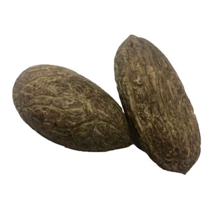 千眼菩提原籽菩提子原果白玉菩提果原果象牙白果黑皮风化老果黑头