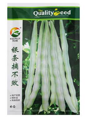 摘不败白芸豆种子四季秧苗