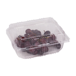 一次性水果网红包装盒超市现切拼盘透明有盖打包盒果蔬蛋糕塑料盒