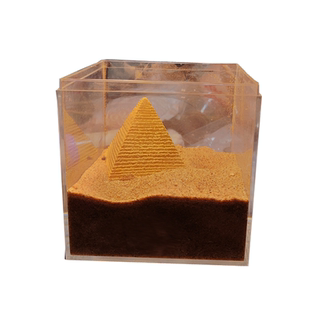 特色奇异昆虫懒人宠物金沙牛活体蚁狮倒退虫沙婆婆沙牯牛土牛好养