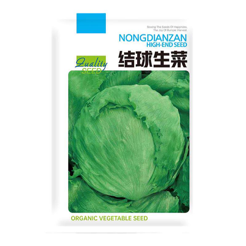 结球生菜种子种籽四季球形奶油速生包菜籽盆栽蔬菜孑菜种春季籽种