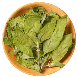 野生薄荷中药材正品旗舰店药厂新鲜薄荷叶干药用食用同源中草药材