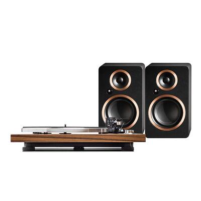 ARGONAUDIO黑胶TTMK2音箱A4