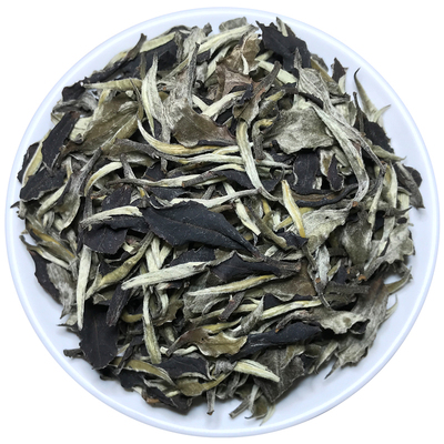 红山白茶白牡丹春季头采不苦不涩